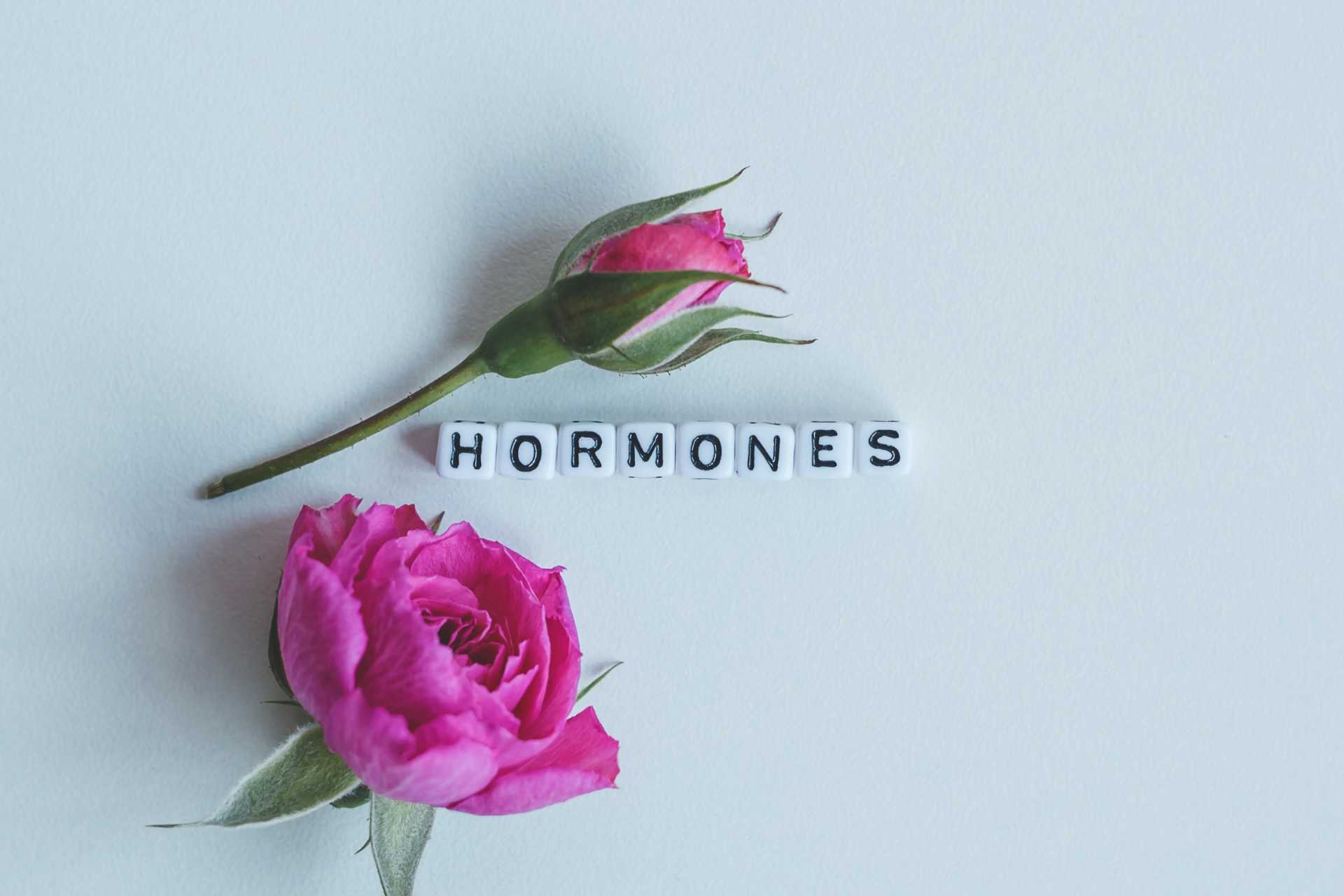 Des « hormones du bonheur »… sans rire ?