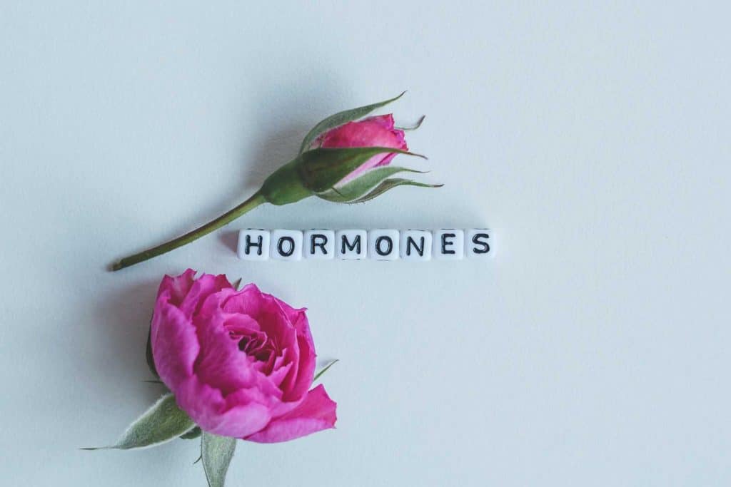 Des hormones du bonheur... sans rire ?